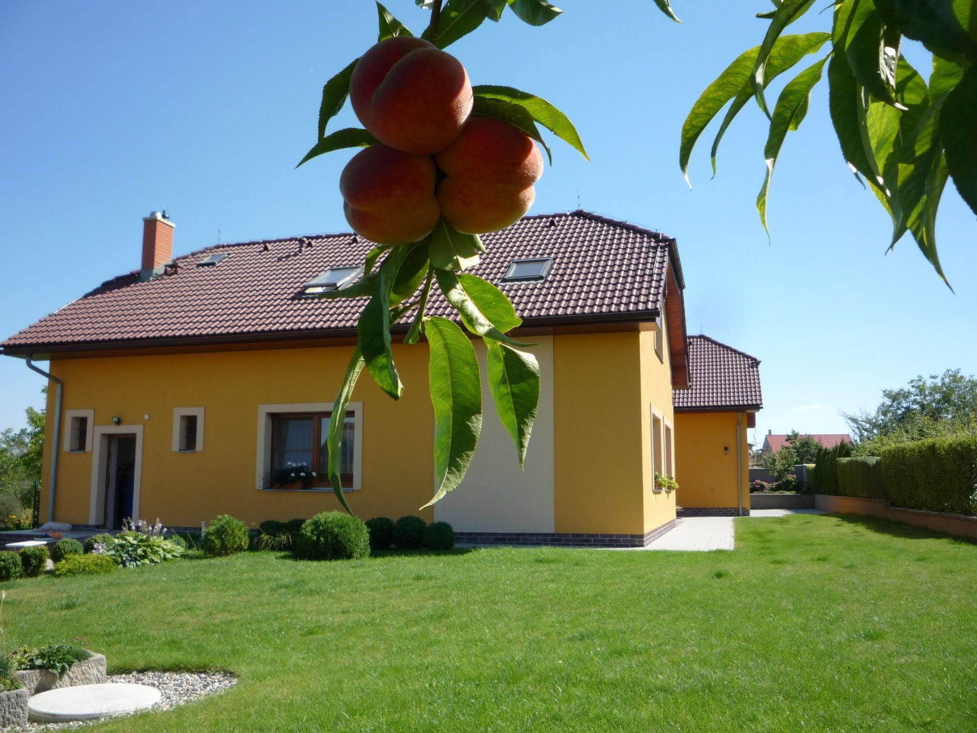 Apartmany Graf Chyne Luaran gambar